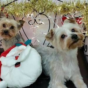 Meet your Posher, Patti